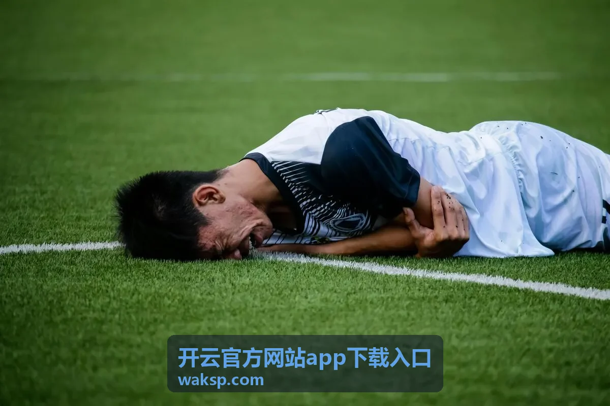 开云官方网站app下载入口下载与安装示意封面
