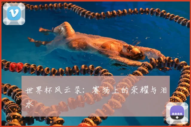 世界杯风云录：赛场上的荣耀与泪水